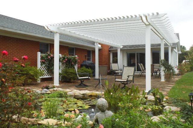 Choosing Plants For Your Pergola