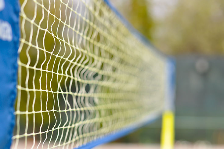 backyard volleyball net