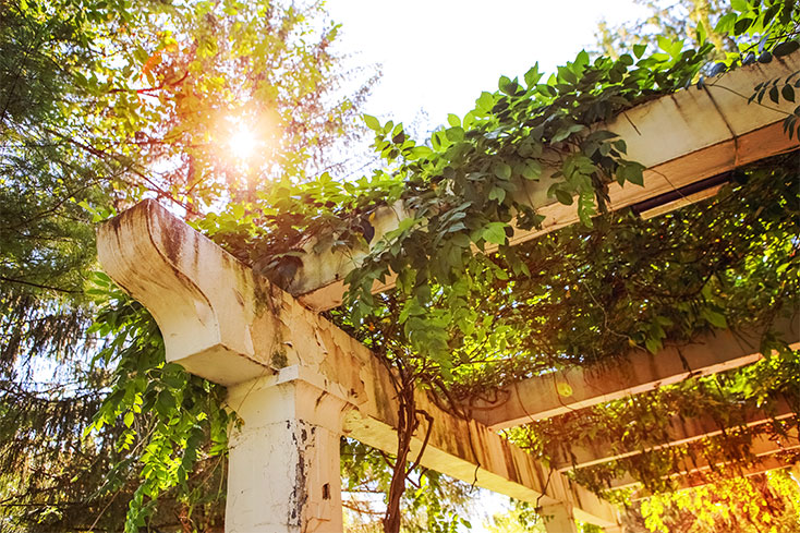 dirty vinyl pergola that needs cleaned